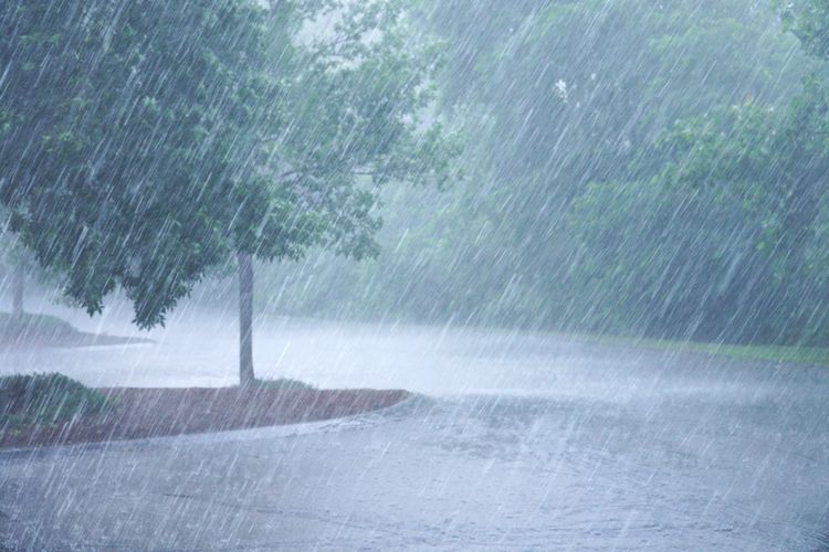 BMKG memprediksi sejumlah wilayah berpotensi cuaca ekstrem berupa hujan lebat, petir, dan angin kencang pada 8-9 Mei 2024.
